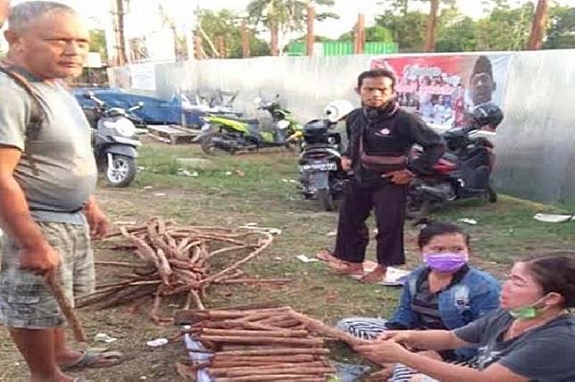 Fenomena Jual Beli Kayu  Bajakah Di Kalimantan 