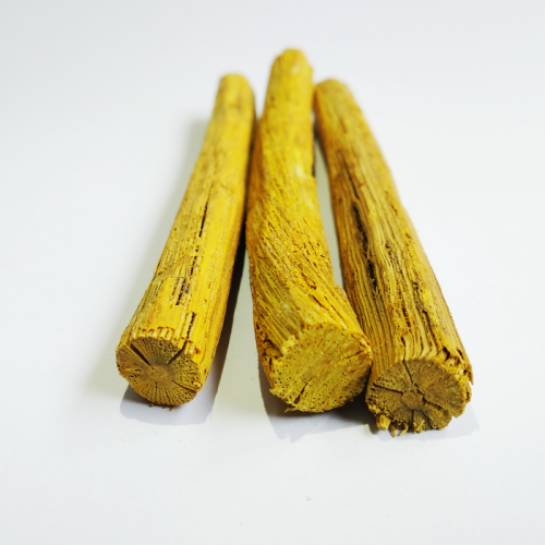 akar-kuning-obat-herbal-kanker-dari-kalimantan