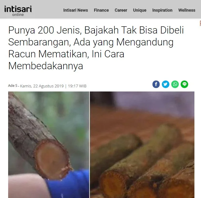 jenis kayu bajakah ada banyak