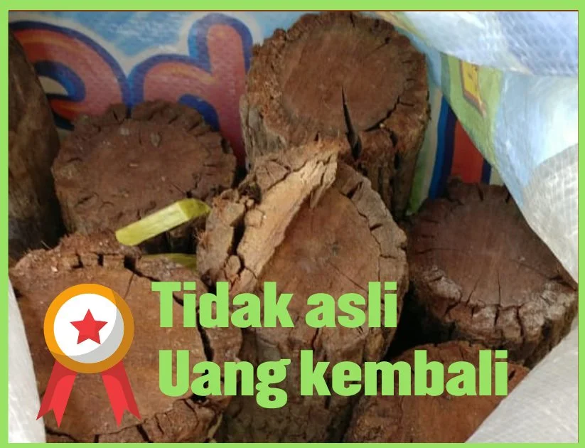 kayu bajakah asli masih segar