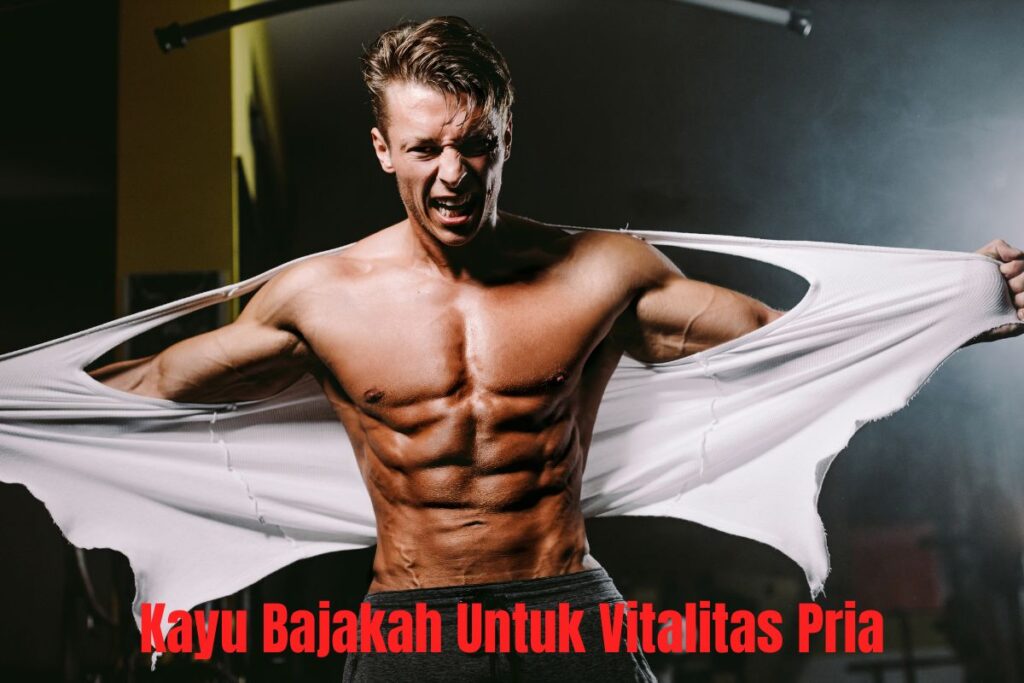 Manfaat Kayu Bajakah Untuk Vitalitas Pria