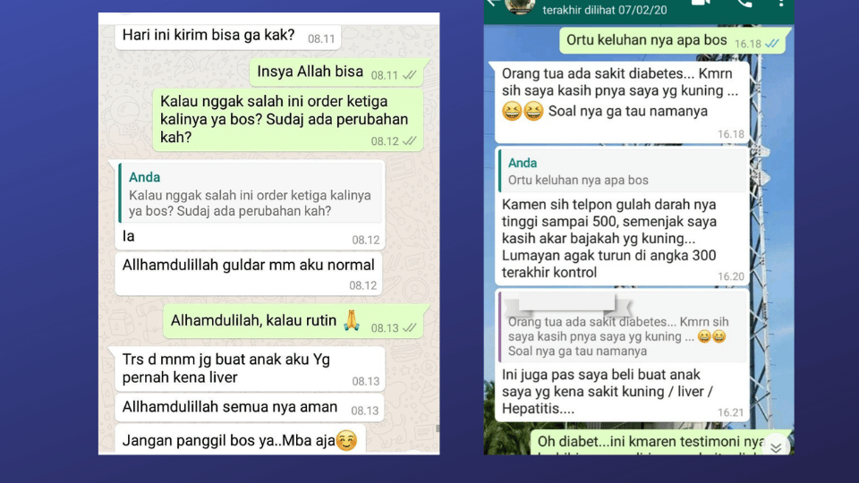 Testimoni Akar Kuning