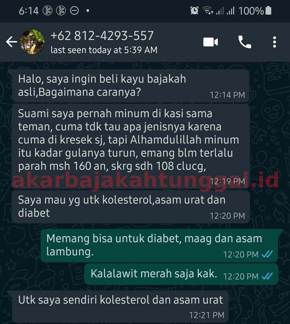 testimoni manfaat kayu bajakah untuk diabetes dan kencing manis